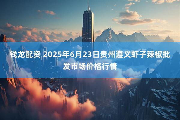 钱龙配资 2025年6月23日贵州遵义虾子辣椒批发市场价格行情